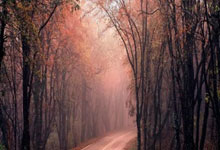 还能归化吗？奥斯卡开局26分钟险戴帽，狂飙半场强吃打反击太好用.